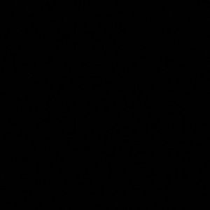 Meet your Posher, Sheldon